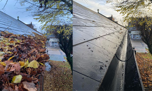 gutter leaf removal